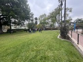 Enlarge photo 6