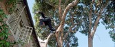 Enlarge photo 18