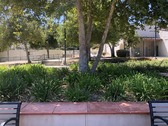 Enlarge photo 10