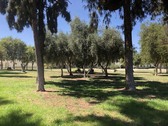 Enlarge photo 17