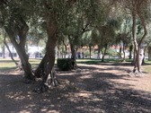 Enlarge photo 21