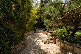Enlarge photo 24