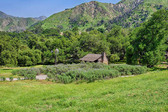 Historical Cabin