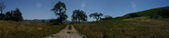 Enlarge photo 18