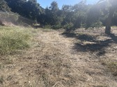 Ventura Farms 