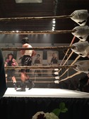 Enlarge photo 4