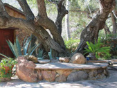 Enlarge photo 14