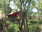 Enlarge photo 24
