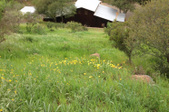 Barns and Other Buildings