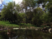 Enlarge photo 10