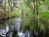 Enlarge photo 16