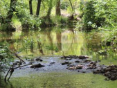 Enlarge photo 17