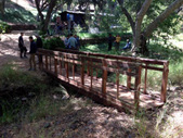 Enlarge photo 21