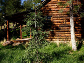 Enlarge photo 3