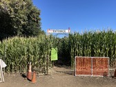 Enlarge photo 18