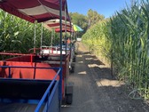 Enlarge photo 22