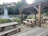 Enlarge photo 10