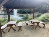 Enlarge photo 9