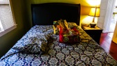 Enlarge photo 19