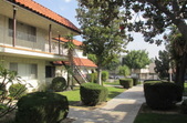 545 Taylor