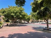 Enlarge photo 16