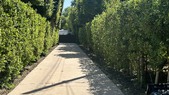 8750 ENCINO AVE