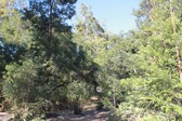 Canyon Ranch