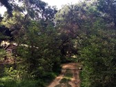 Enlarge photo 13