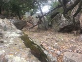 Enlarge photo 14