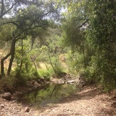 Enlarge photo 18