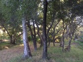 Enlarge photo 22