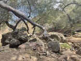Enlarge photo 24