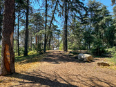 Enlarge photo 9