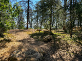 Enlarge photo 16