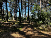 Enlarge photo 19