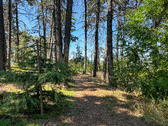 Enlarge photo 21