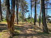 Enlarge photo 23