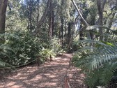 Enlarge photo 10