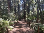 Enlarge photo 14