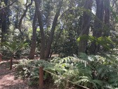 Enlarge photo 16