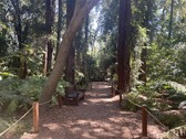 Enlarge photo 21