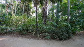 Enlarge photo 17