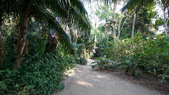 Enlarge photo 18