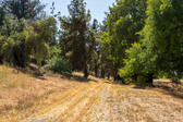 Forest Road RSI Pomona