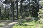 Enlarge photo 12