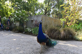 Enlarge photo 9