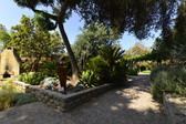 Enlarge photo 10