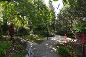 Enlarge photo 14