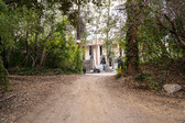 Warner Brothers Jungle