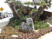 Enlarge photo 18